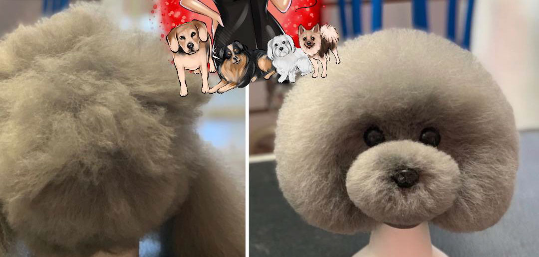 Dog groomed by Doggie Dazzle Rolling Paw Spa, photo 11